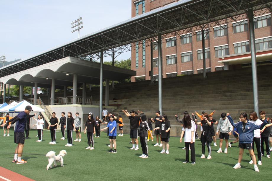 2019 동문체전
