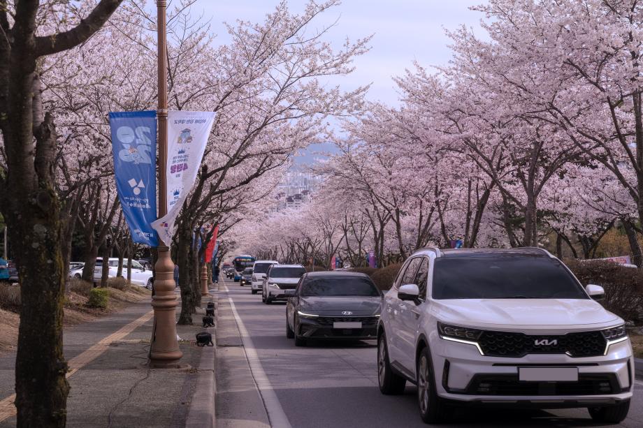 세로수길
