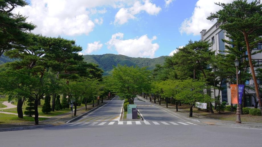 세로수길