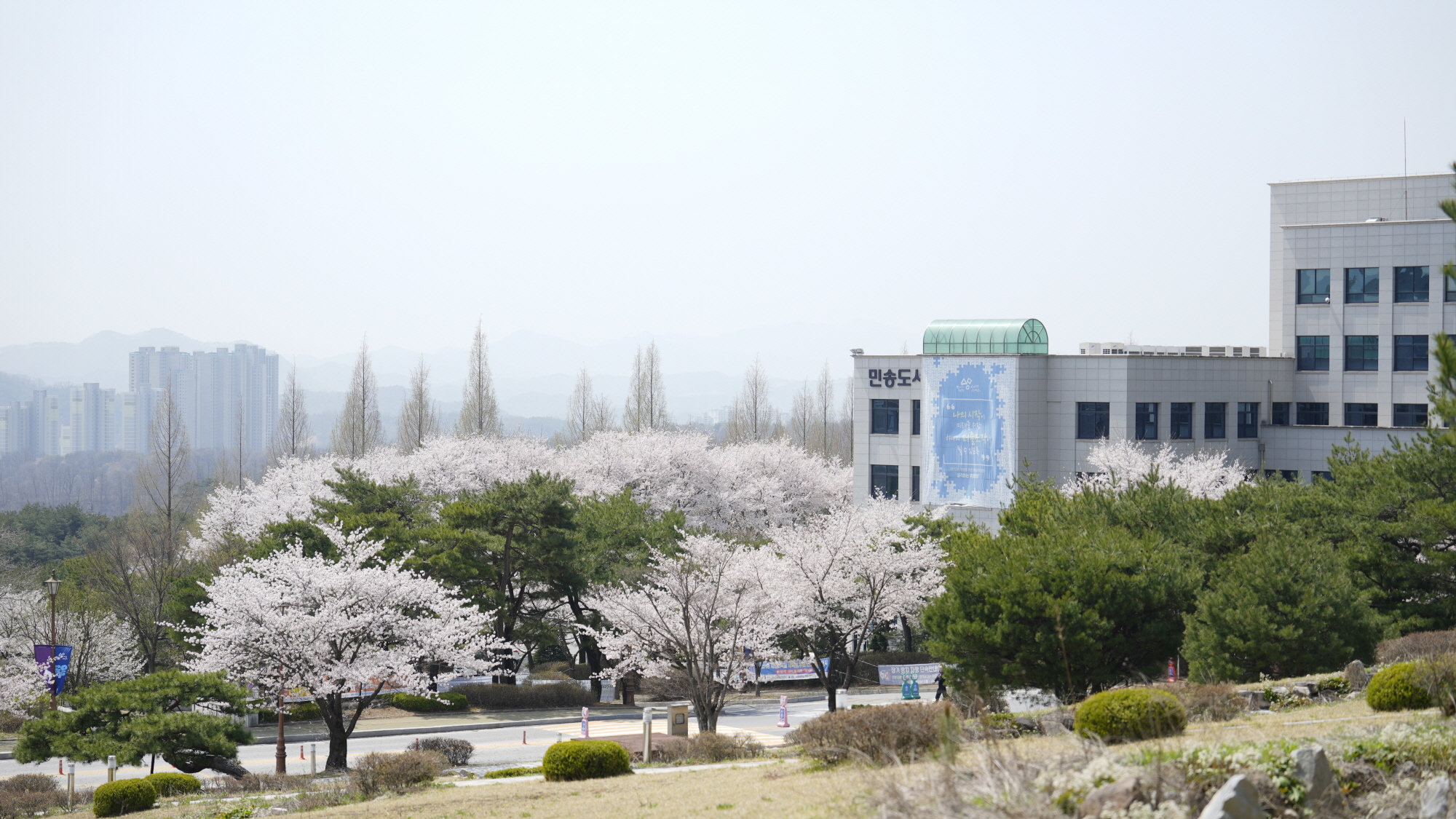 민송도서관