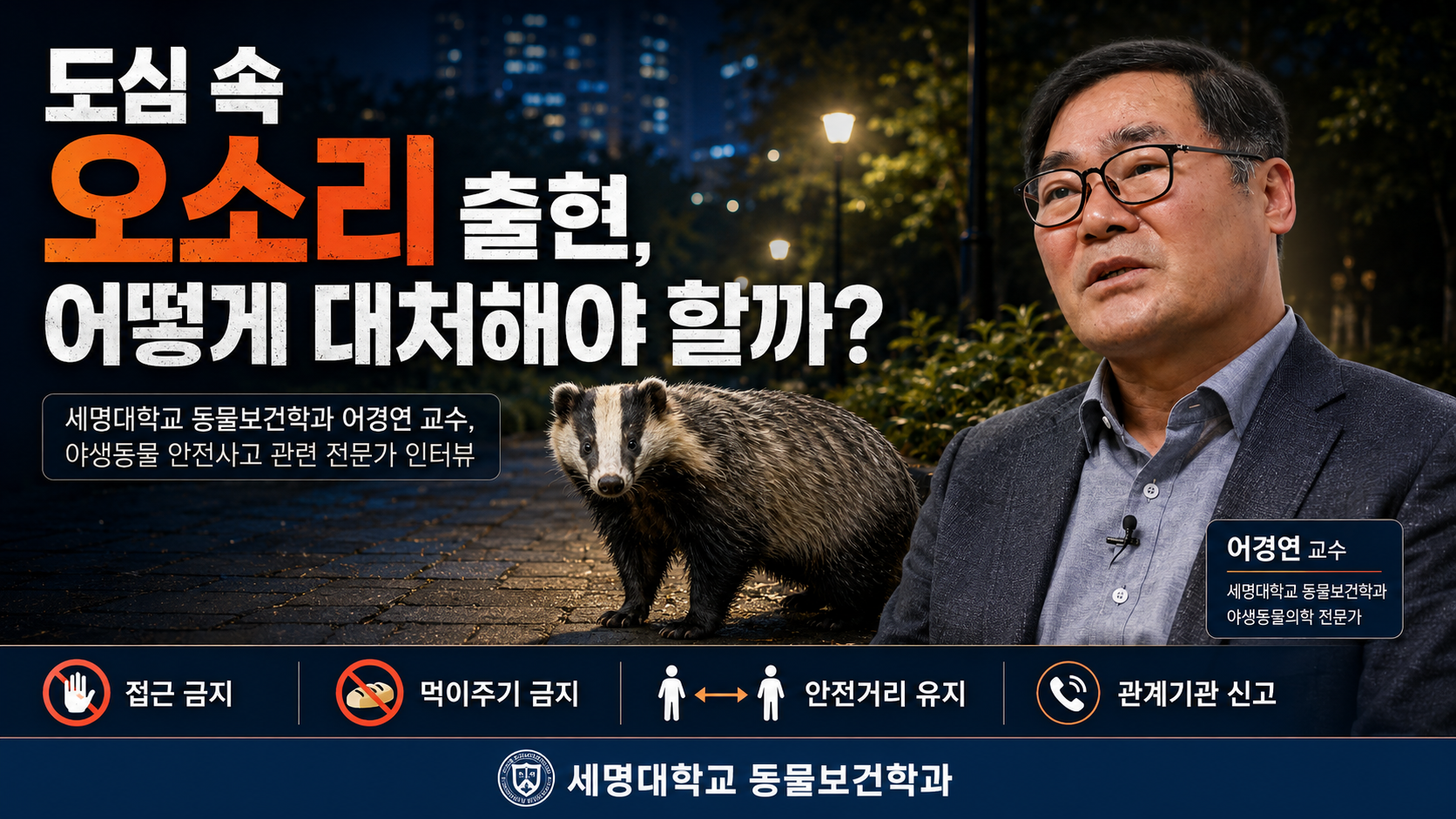 도심 속 오소리 출현_세명대학교 동물보건학과 어경연 교수, 야생동물 안전사고 관련 전문가 인터뷰
